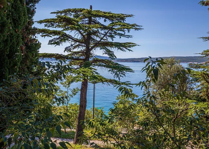 شقة Loki دْغاماي